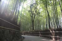 Kyoto 03 - Bamboo forest