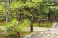 Kyoto 08 - Daitoku ji Zen garden