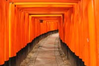 Kyoto 14 - Fushimi Inari shrine