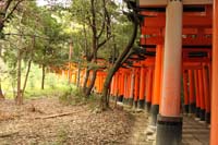 Kyoto 15 - Fushimi Inari shrine