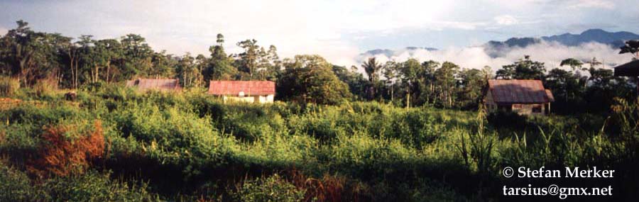 Kamarora field station