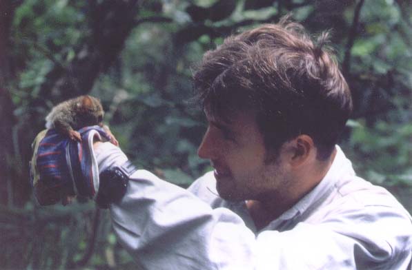 Stefan tarsier 2000